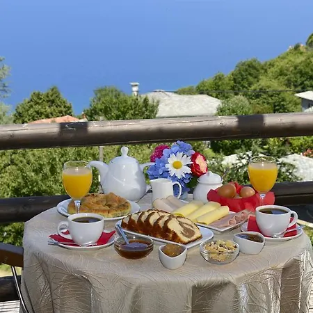فندق Hotel Zagora 3*