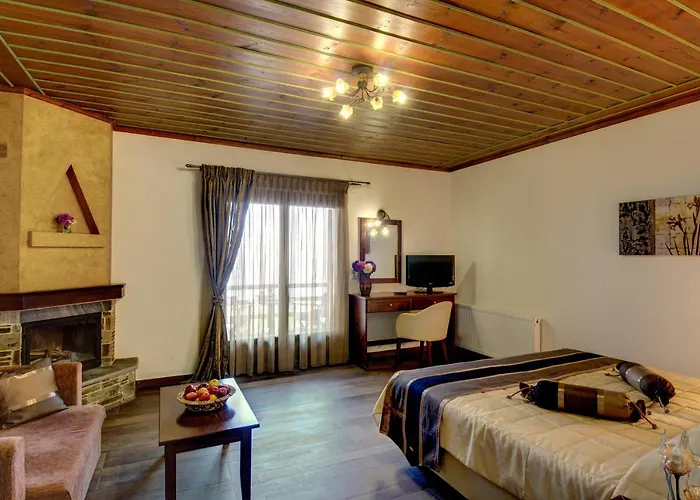 Hotel Zagora 3* 자고라